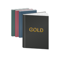 Abschlussarbeit | Hardcover | Golddruck Cover